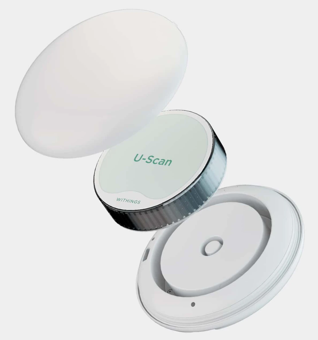 specifically designed to live in the toilet environment